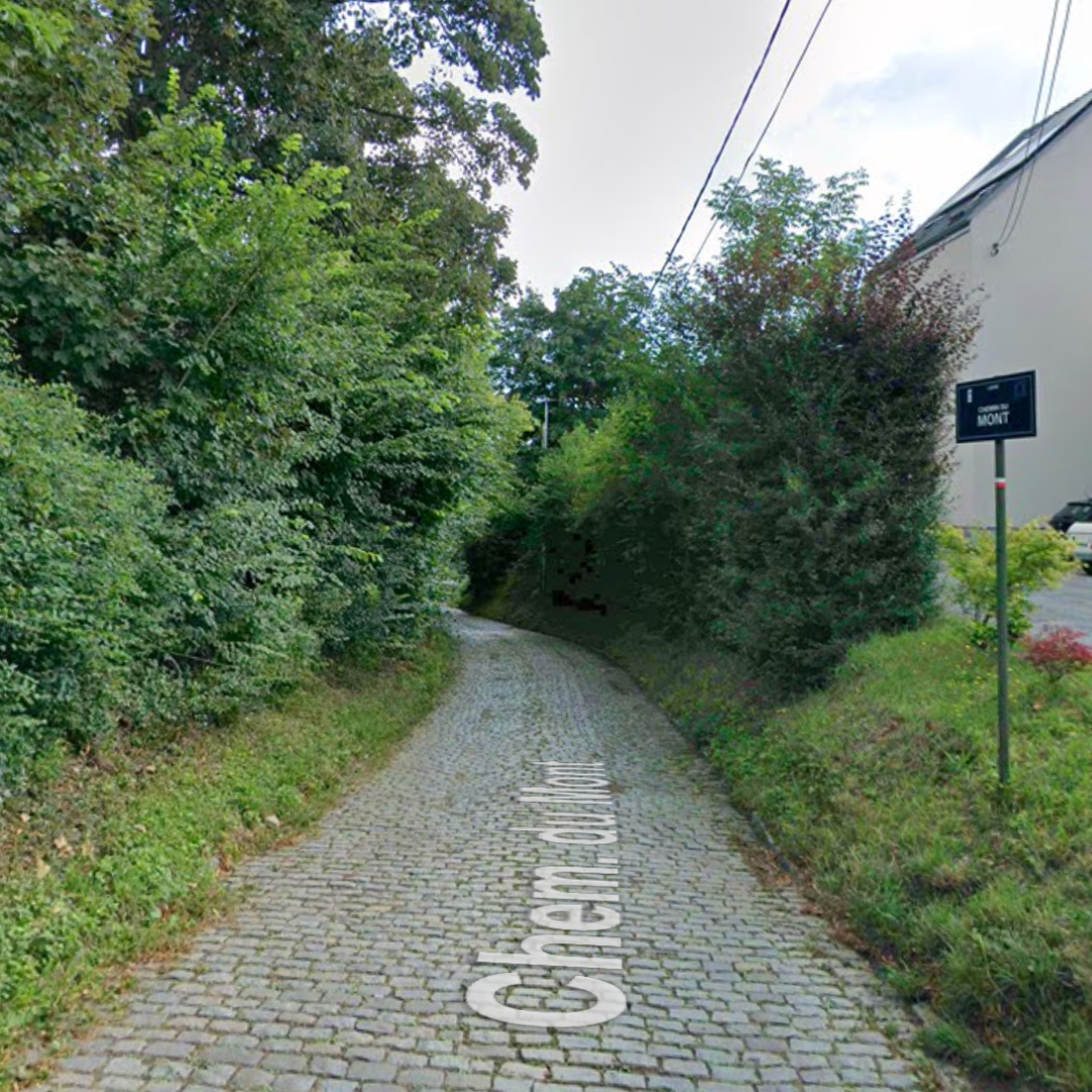 Rue du Mont Lassy 3, 1380 Lasne, Belgique